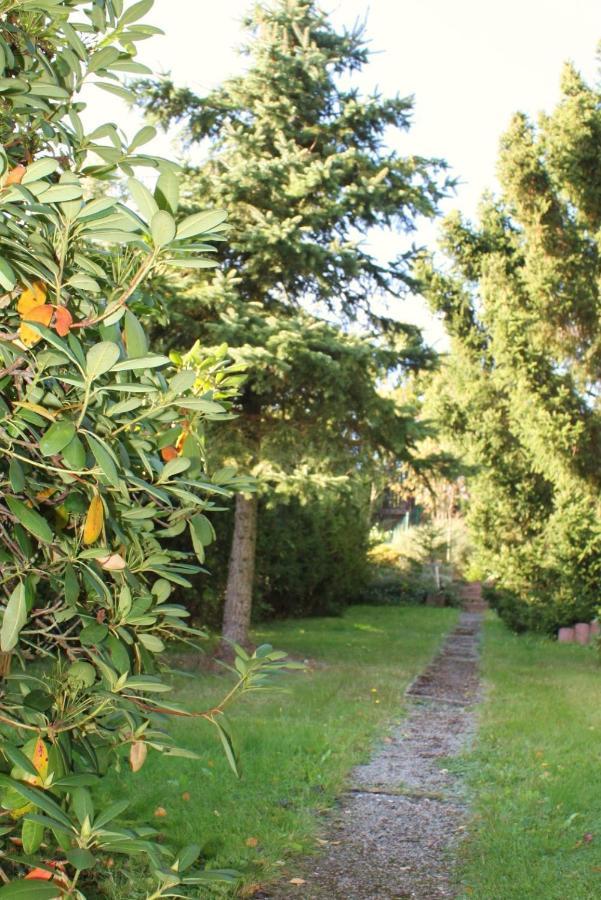 Ferienhaus Harzblick Güntersberge Dış mekan fotoğraf