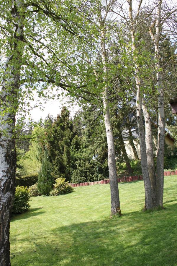 Ferienhaus Harzblick Güntersberge Dış mekan fotoğraf